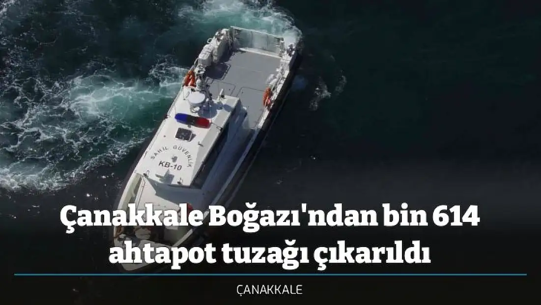 Çanakkale Boğazı'ndan bin 614 ahtapot tuzağı çıkarıldı