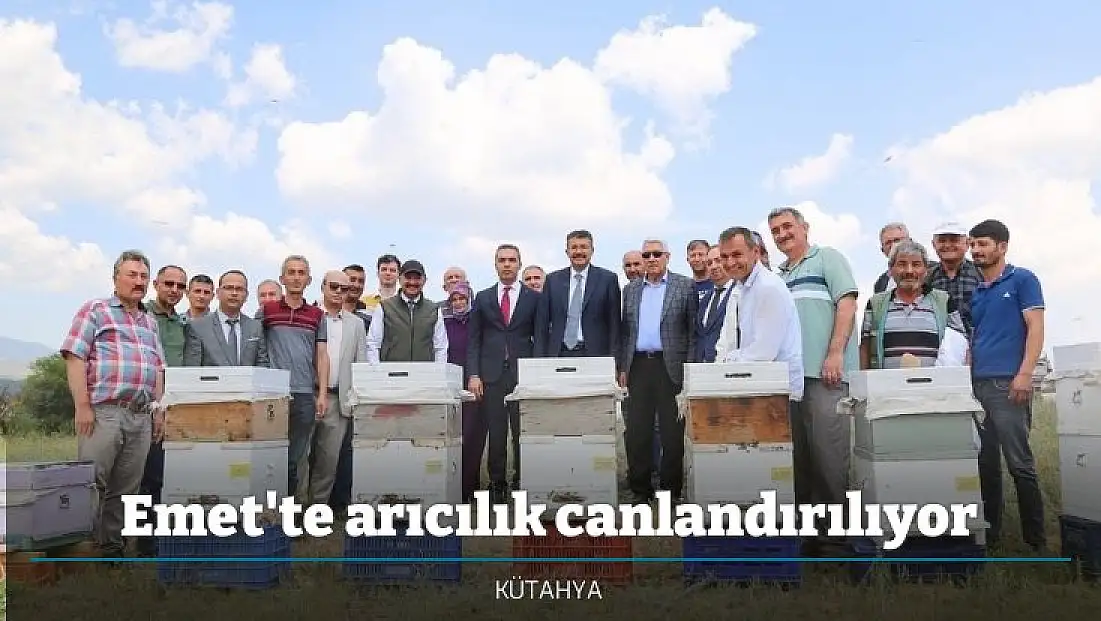 Emet'te arıcılık canlandırılıyor