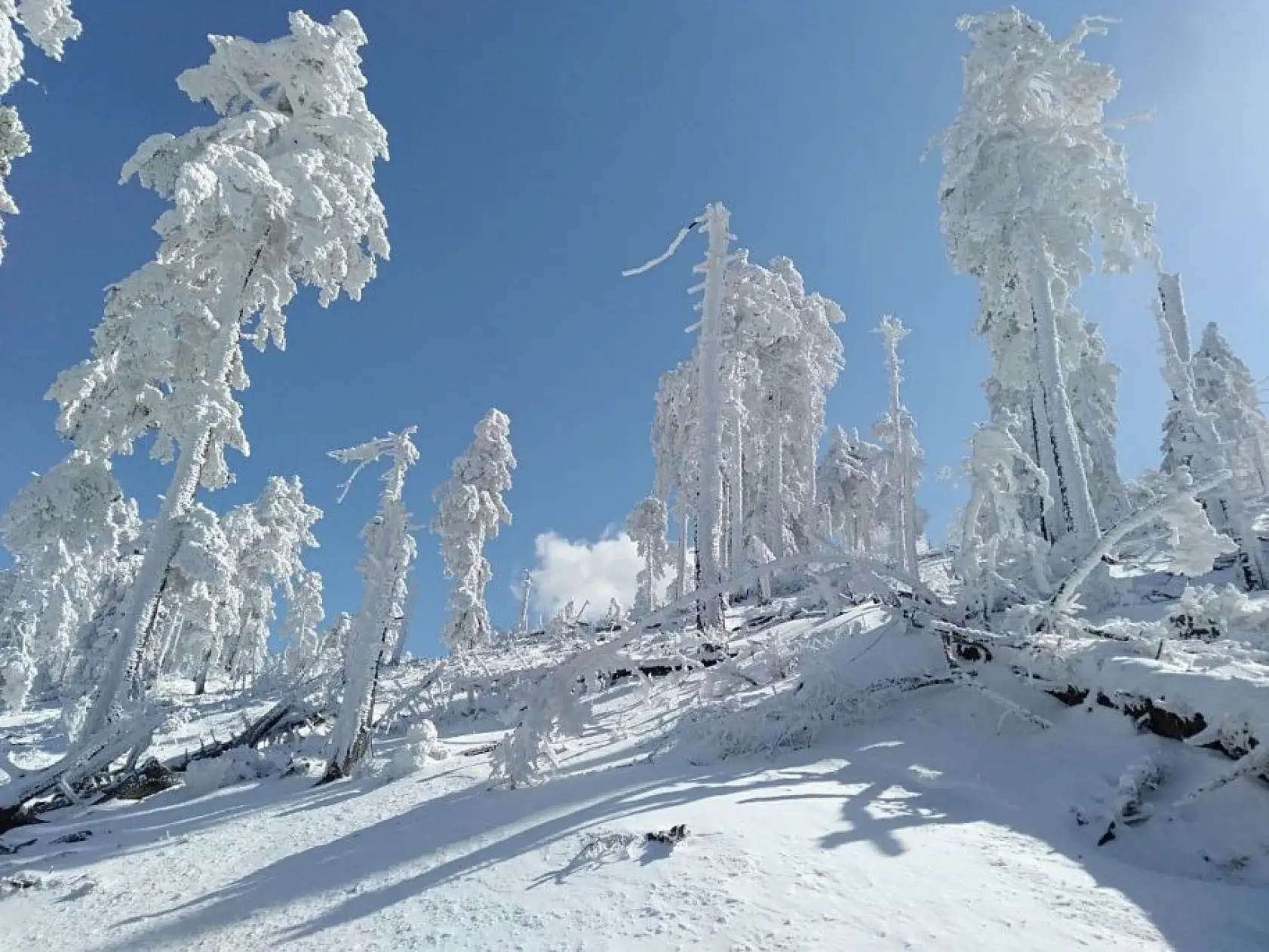 Karlı Kazdağları'ndan masalsı görüntüler