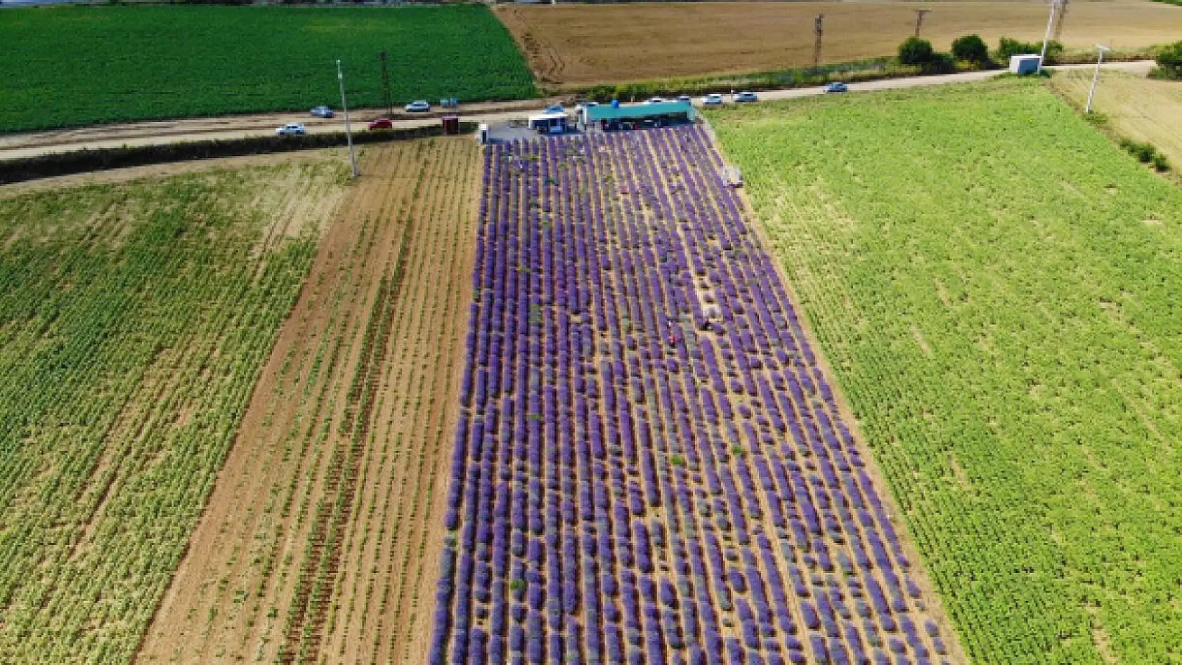 İstanbul'un stresinden kaçan soluğu burada alıyor
