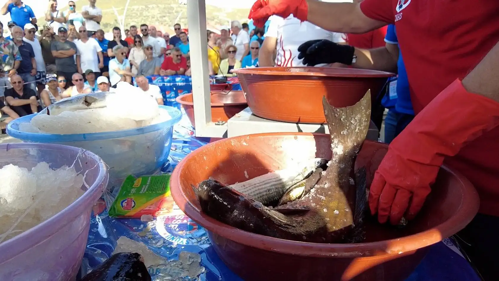 Zıpkınla Balık Avı Şampiyonası heyecanlı geçti