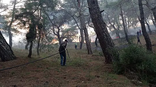 Balıkesir'de gece boyunca çıkan 3 orman yangını söndürüldü