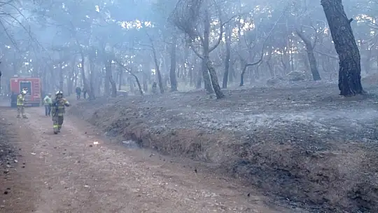 Balıkesir'de gece boyunca çıkan 3 orman yangını söndürüldü