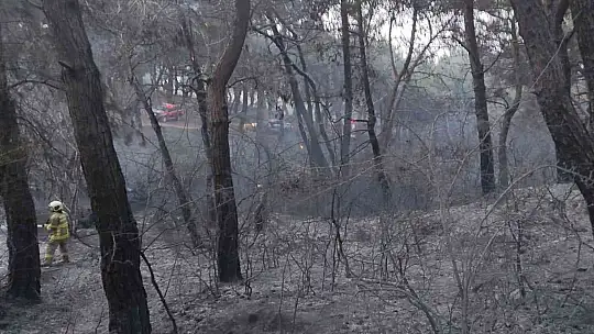 Balıkesir'de orman yangını zamanında müdahale ile kısa sürede söndürüldü