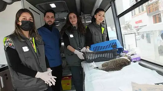 Balıkesir'de sokak hayvanlarına VETBÜS şefkati