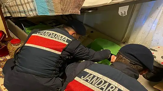 Balıkesir merkezli FETÖ operasyonu: 67 gözaltı