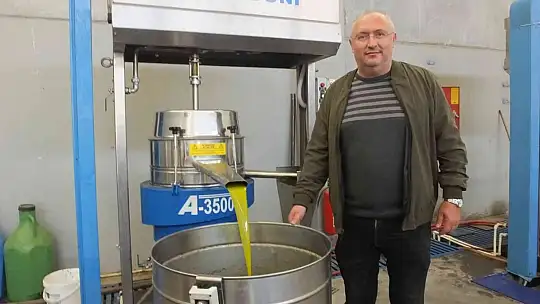 Burhaniye'de zeytinde randıman ve yağ kalitesi sevindirdi