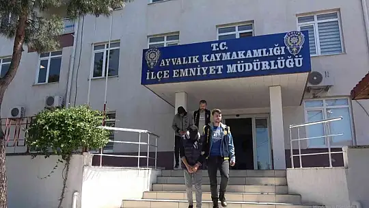 Çaldıkları 32 oğlağı bir otomobile sığdıran hırsızlar Ayvalık polisinden kaçamadı