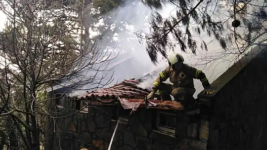 Edremit'te mesire alanında çıkan yangında 2 hektar alan yandı