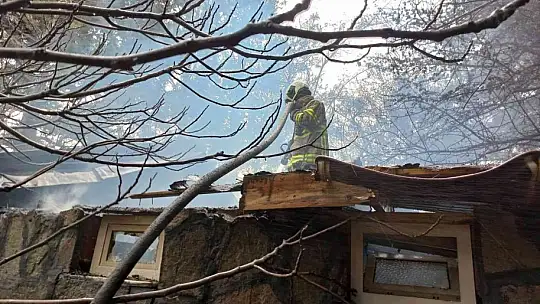 Edremit'te mesire alanında çıkan yangında 2 hektar alan yandı