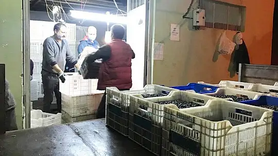 Erdek'in zeytini yok satıyor