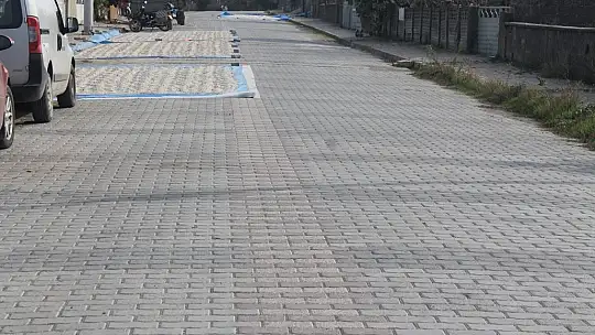 Güneşli havaları fırsat bilen üreticiler, fasulyeleri cadde ve sokaklarda kurutuyor