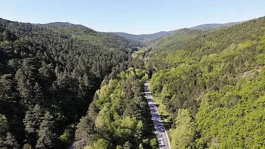 Kazdağları'nda yeşilin bin bir tonu havadan görüntülendi