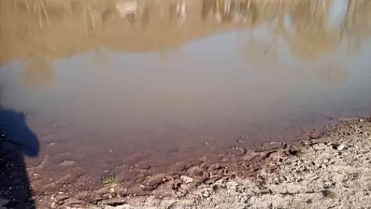 Koyun otlatırken gölete düşen çocuk boğularak öldü
