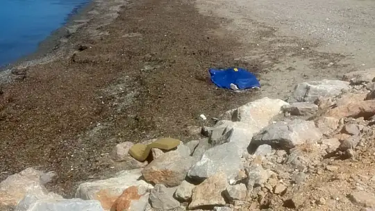 Oğlunu satırla öldüren baba tutuklandı