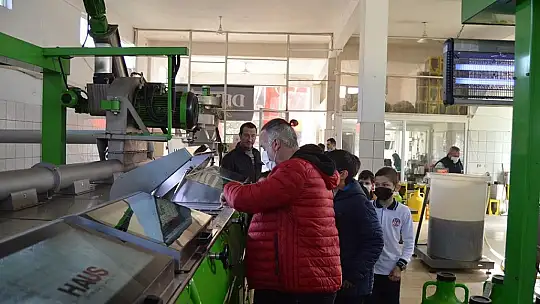 Öğrencilere zeytinyağı sevgisi aşılandı