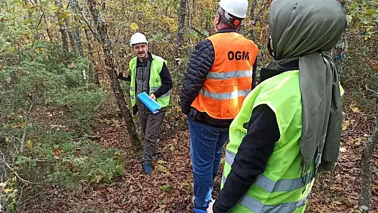 Ormanlarda uygulamalı eğitim