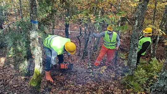 Ormanlarda uygulamalı eğitim
