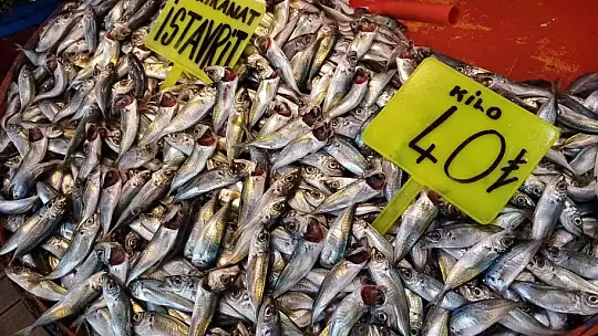 Ramazan ayının ilk günü Bandırma balık hali boş kaldı