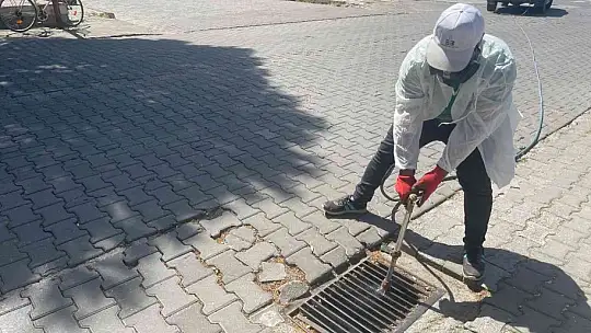 Sineksiz bir Edremit için çalışılıyor