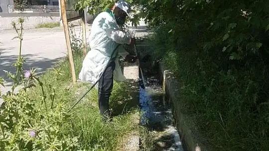 Sineksiz bir Edremit için çalışılıyor