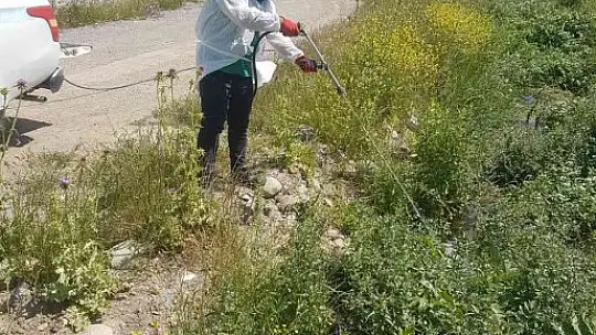 Sineksiz bir Edremit için çalışılıyor