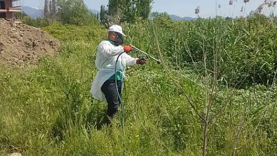 Sineksiz bir Edremit için çalışılıyor