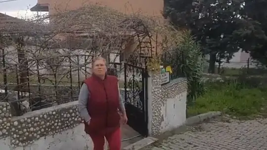 Vandallar Avşa'da kırdı döktü