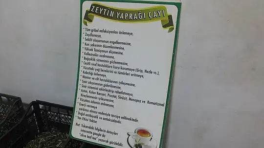 Zeytin yaprağının korona virüse iyi geldiğini iddia etti