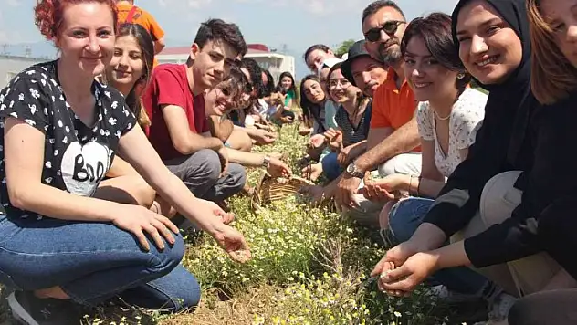Burhaniye'de GastroBaçem projesi hayata geçirildi