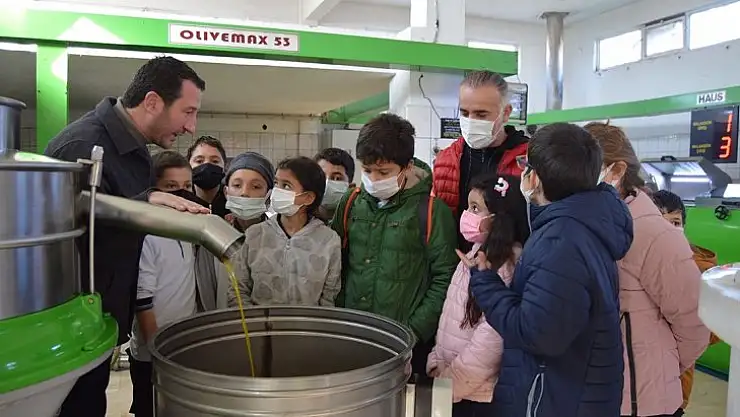 Öğrencilere zeytinyağı sevgisi aşılandı