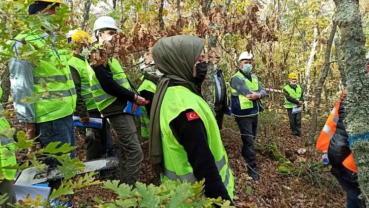 Ormanlarda uygulamalı eğitim